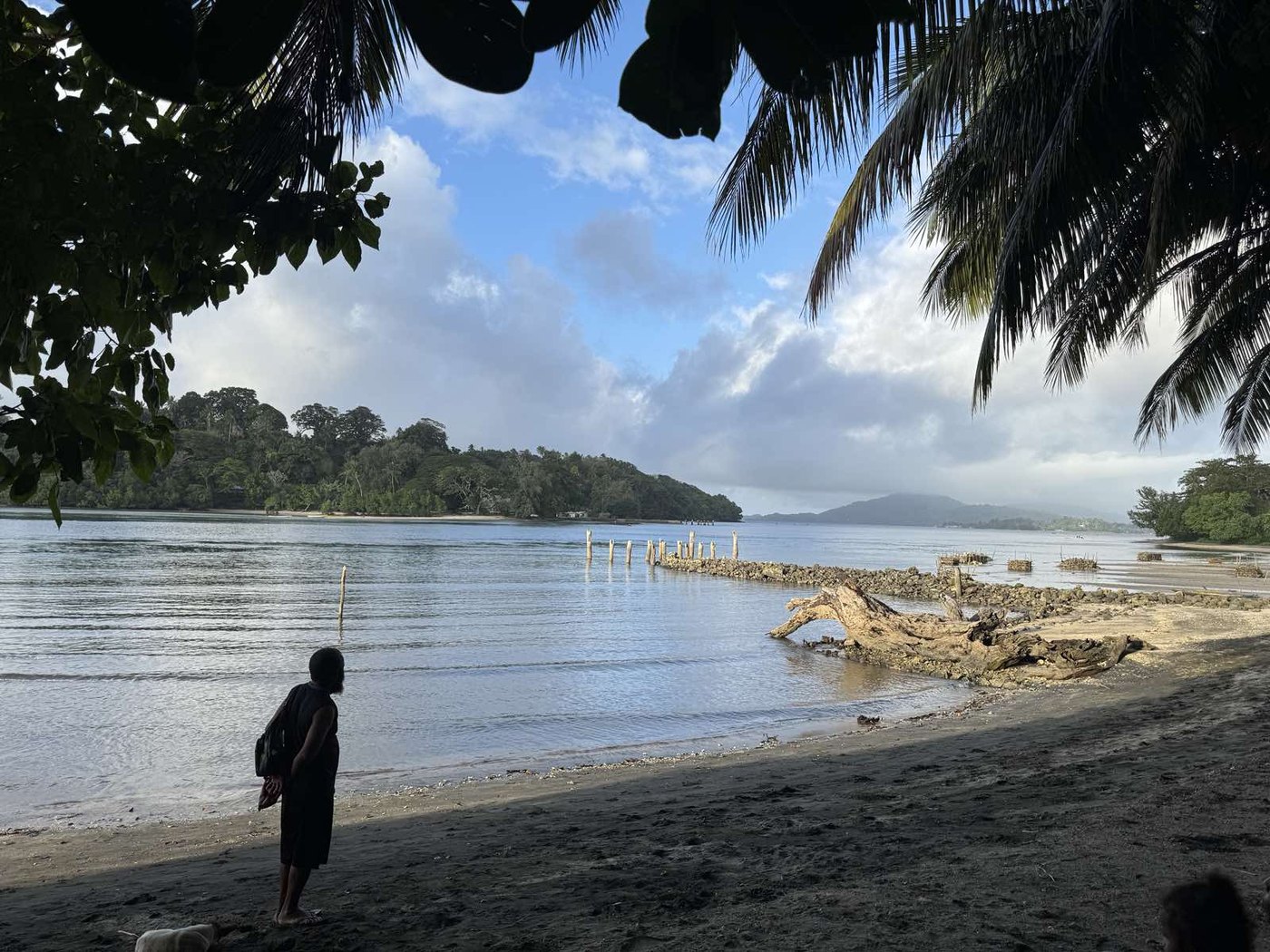 A beach shoreline in Milne Bay Province framed by palm trees