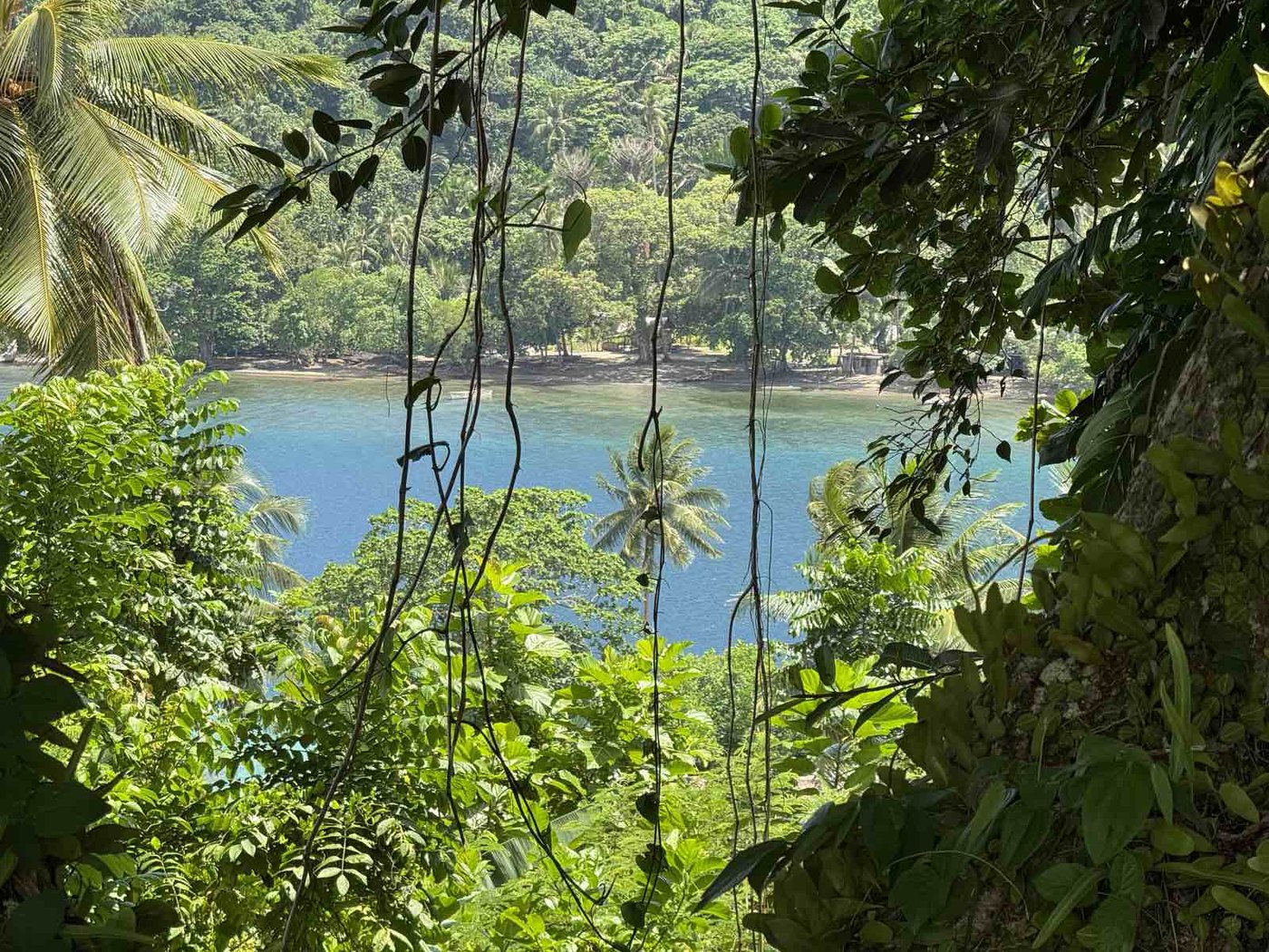A tropical bay surrounded by rainforest in Milne Bay Province